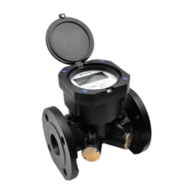 Embedded Ultrasonic Water Meter