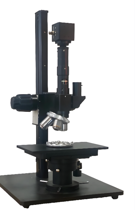 Kính hiển vi số 3D dạy học cơ bản