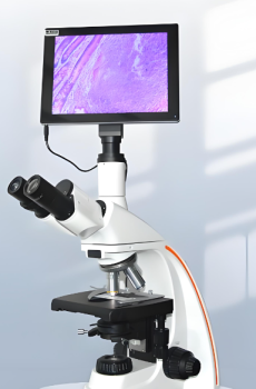 ไมโครสโคปดิจิทัล 3 มิติทางชีวการแพทย์
