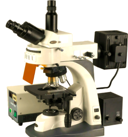 <span>Microscope</span> laser à balayage à fluorescence biologique