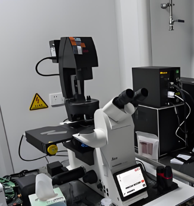 กล้องจุลทรรศน์เลเซอร์วิจัยแบบกลับหัว