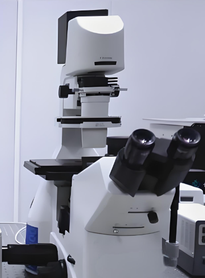 共焦点レーザー走査型顕微鏡