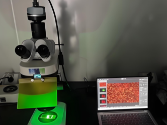 Mikroskop <span>Laser</span> Hewan Kecil Secara In Vivo