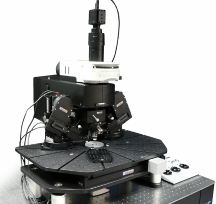 Kính hiển vi lazer hai photon trong cơ thể sống