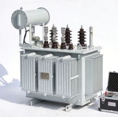 Transformateur de test immersé dans l'huile portable extérieur (20kV)