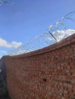 Hot-Dipped Galvanized Razor Wire (Basic Wall Security)