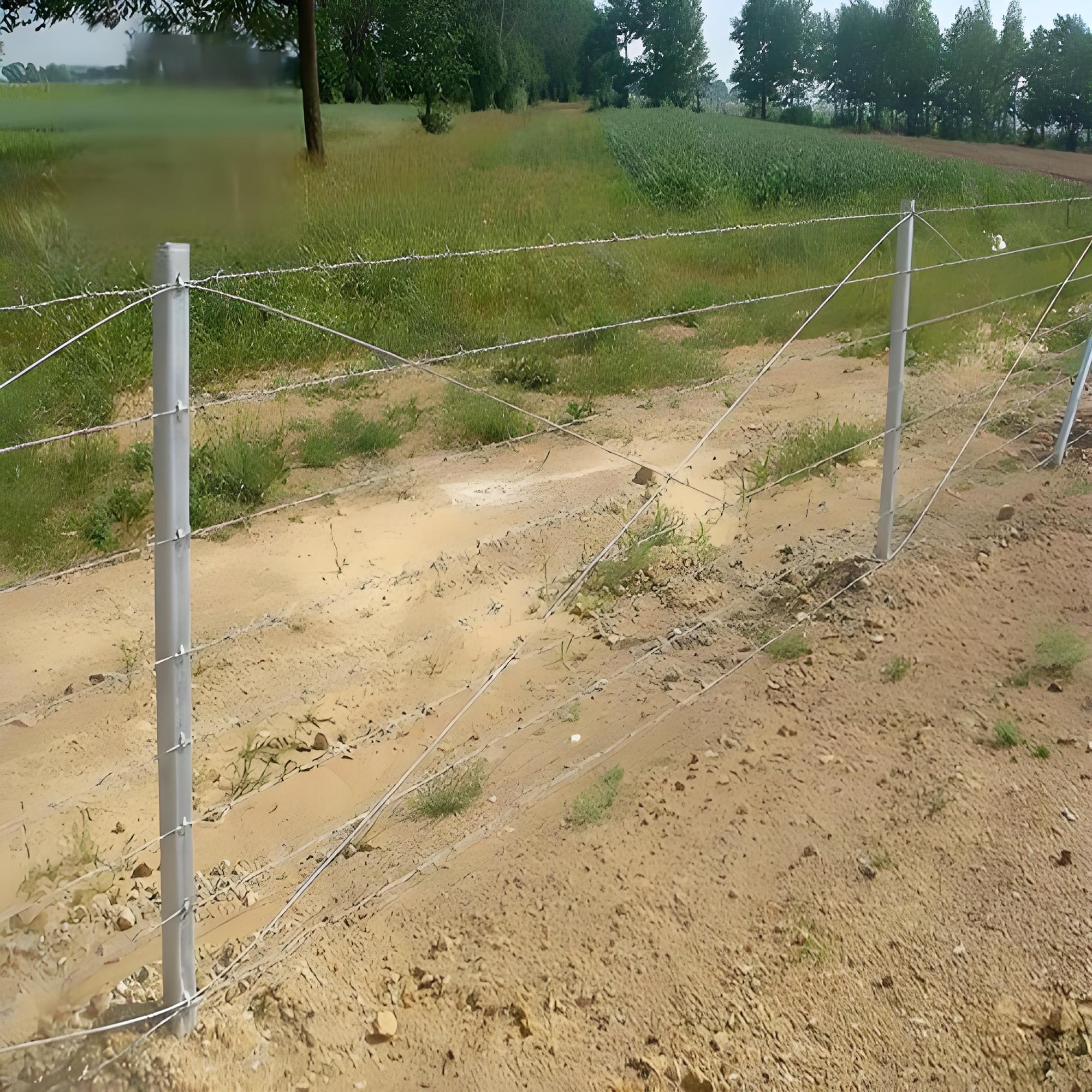 Dây thép gai dao cạo đan cài kiểu chữ thập