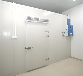 Laboratory Precision Pharmaceutical <span>Cold</span> Storage