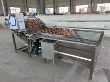 Household Vacuum Vegetable and Fruit Cleaning Machine