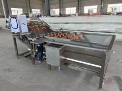 Household Vacuum Vegetable and Fruit Cleaning Machine