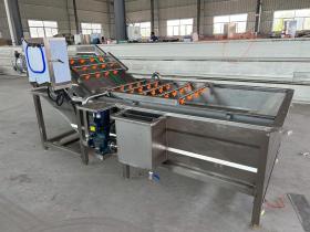 Household Vacuum Vegetable and Fruit Cleaning Machine