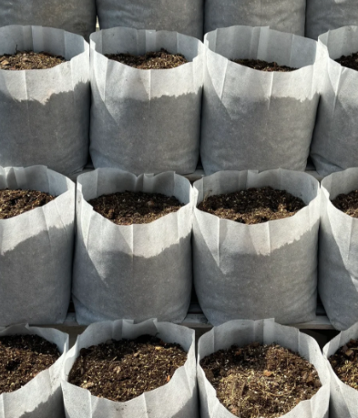 ถุงปลูกต้นกล้าโรงเรือน PE ที่ทำลายได้ด้วยแสง