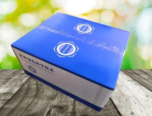 Compostable Plant-Based Corrugated Packaging Boxes