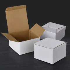 Boîtes d'emballage ondulées spéciales amortissant les chocs