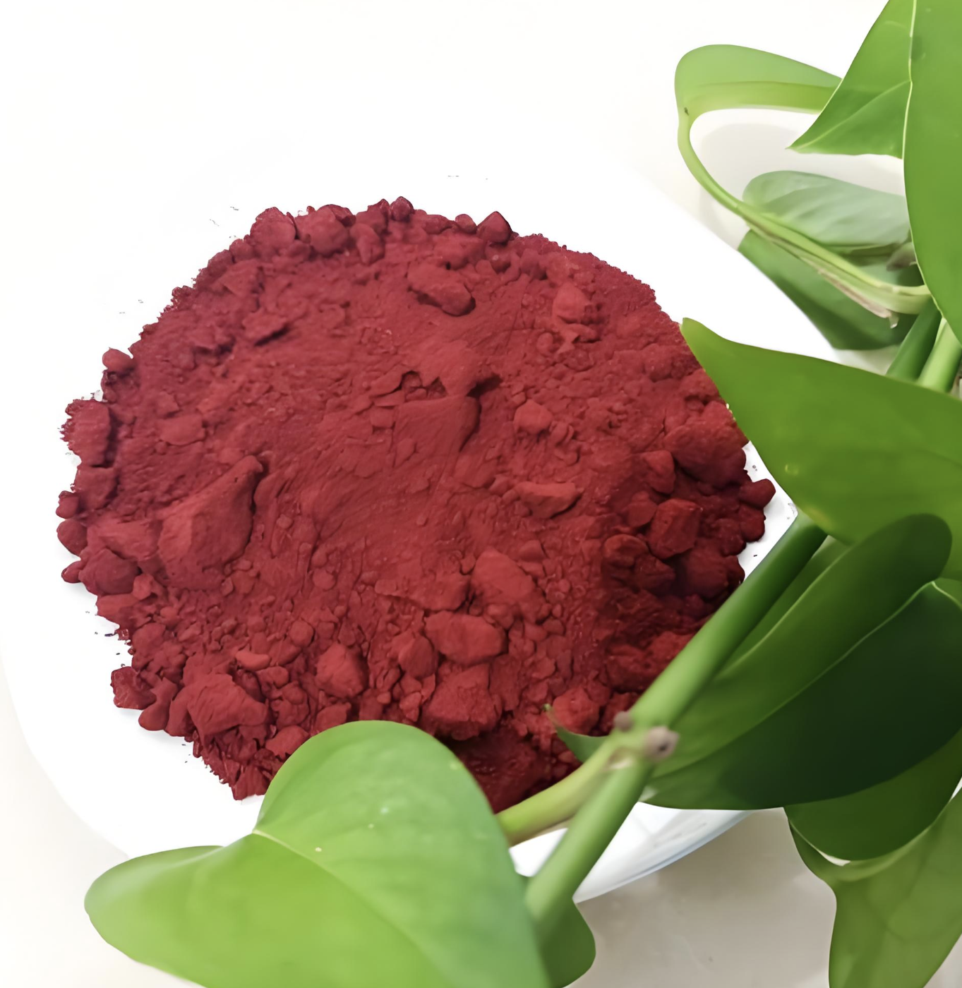 High Weatherability Iron Oxide Red for Coatings