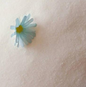 Cationic Polyacrylamide for Sludge Dewatering