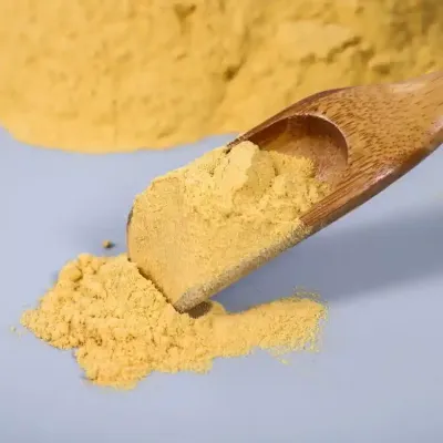 Polysulfate ferrique granulaire solide
