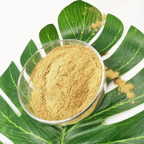 Polyferric Sulfat Tingkat Farmasi Kemurnian Tinggi