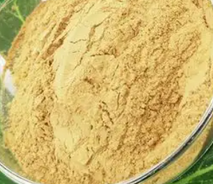 Polyferric Sulfat Tingkat Farmasi Kemurnian Tinggi