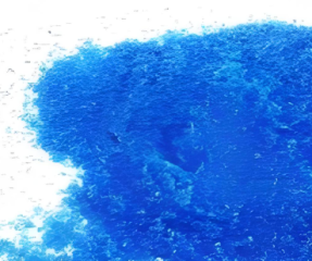 Algicide et bactéricide spécialisé pour l'aquaculture