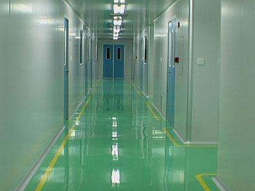 Water-based High Temperature Resistant Anti-corrosion Paint