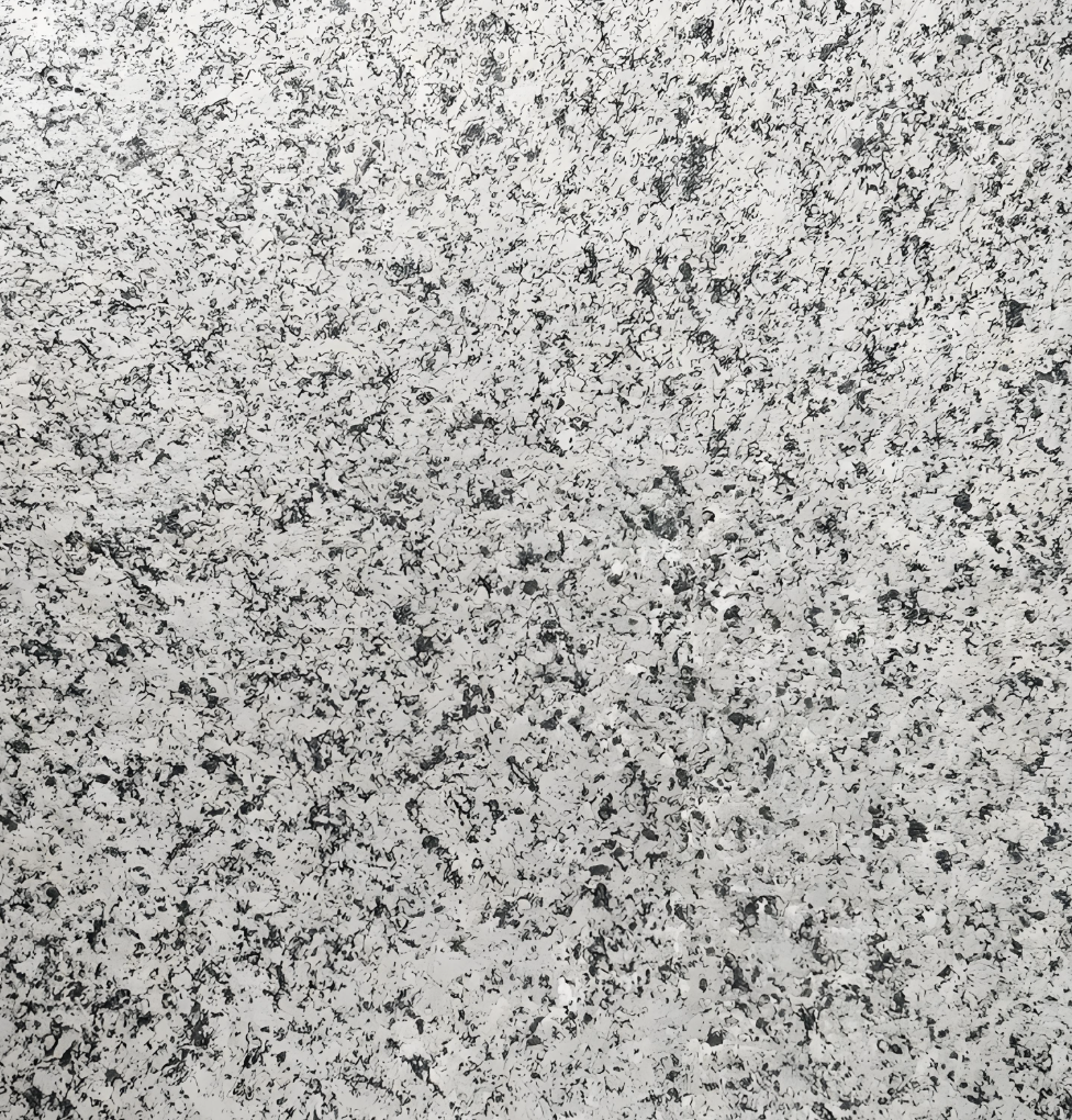 Peinture minérale imitant la pierre respectueuse de l'environnement