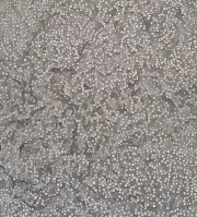 กาวโครงสร้างอีพ็อกซี่ที่มีอนุภาคเซรามิกสำหรับเชื่อมโลหะกับเซรามิก