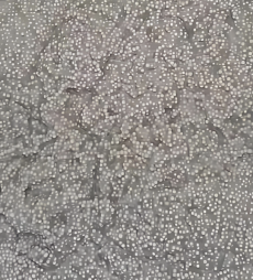 Ceramic Particle Epoxy Structural Adhesive for Metal-Ceramic Bonding