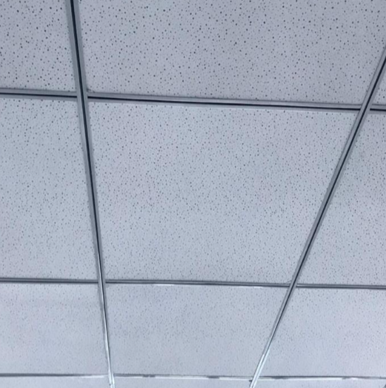 แผนฝ้าเพดานเสียงด้วยขนสารแร่ที่ทนต่อไฟ (รุ่นสำหรับสำนักงานพาณิชย์)