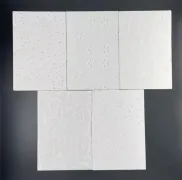 Plaque de silicate de calcium perforée à absorption acoustique