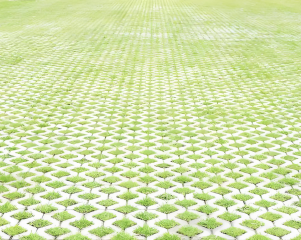 Paver Beton Rumput Standar