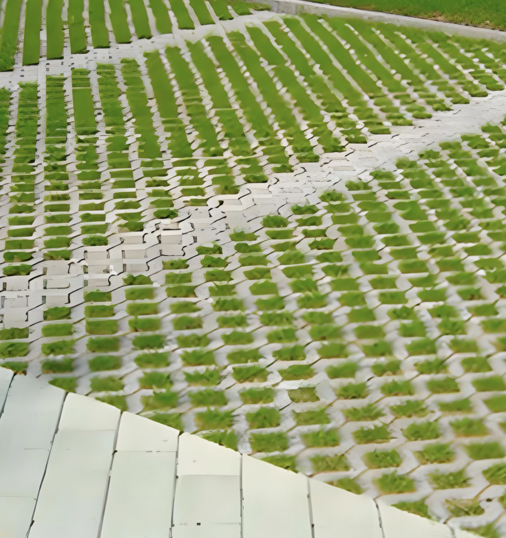 Paver Rumput untuk Parkir Komersial Beban Tinggi