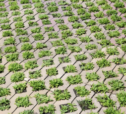 Blok Paving Rumah Ekologis untuk Perlindungan Lereng