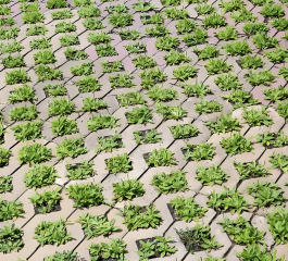 Blok Paving Rumah Ekologis untuk Perlindungan Lereng