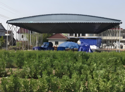 Agricultural Push-Pull Canopy