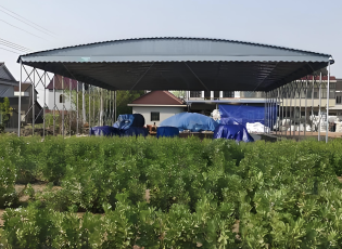 Kanopi Tarik Dorong Pertanian