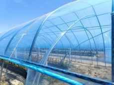 ผ้าคลุมโรงเรือนเกษตรกรรม PO กันน้ำ