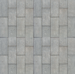 Ubin Pasangan Abu-abu Pemandangan Luar Ruangan