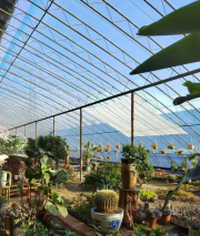 Pavillon de tente agricole