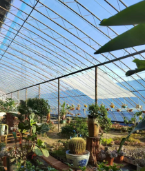 Pavillon de tente agricole