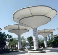 Basic Small-scale Community Membrane Structure Stand