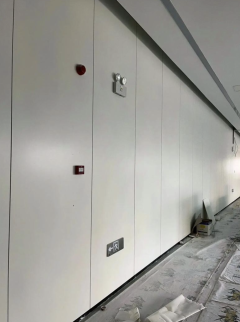 Aluminum Alloy ESD Anti-Static Wall Panel for High-end Computer Room