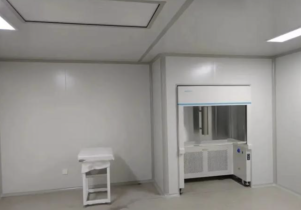 Cleanroom ESD Purification Composite Wall Panel