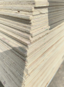 Decorative Veneer <span>Plywood</span>