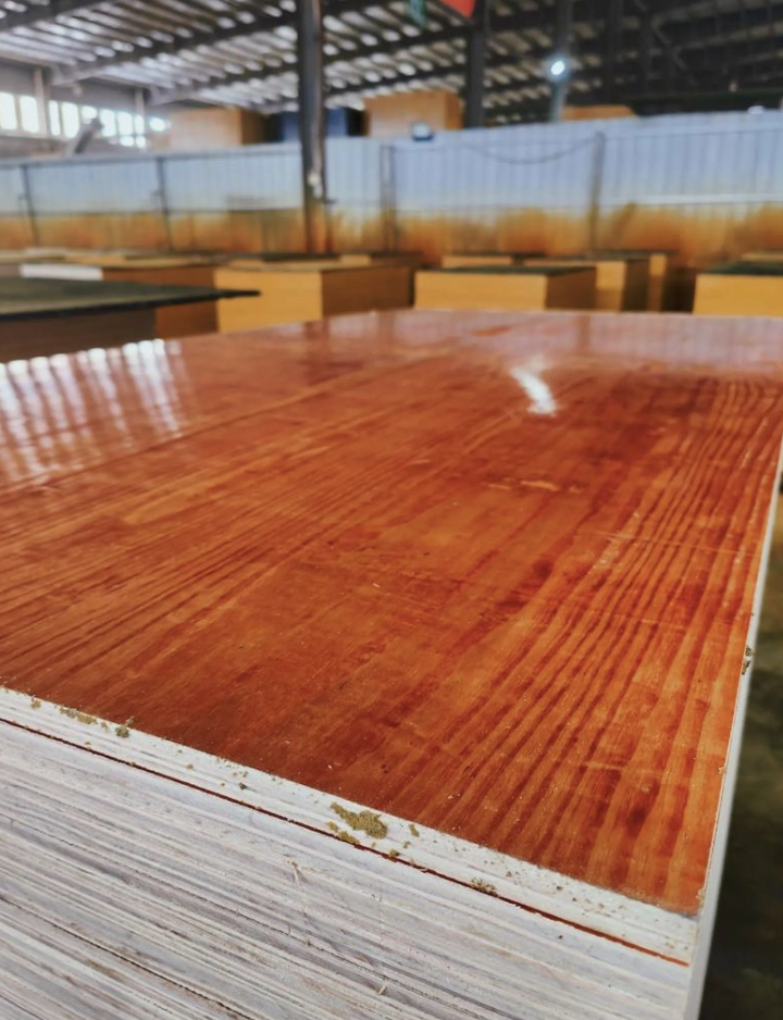 Phenolic Film Faced Construction Plywood