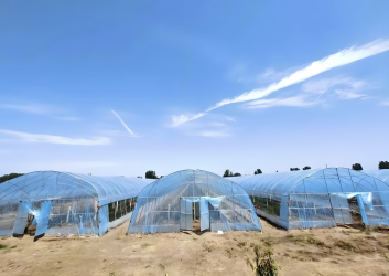 Greenhouse Smart Temperature-Regulating Insulation <span>Film</span>