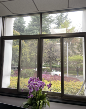 ฟิล์มกันความร้อนประหยัดพลังงานอาคารที่มีการสะท้อนแสงต่ำ