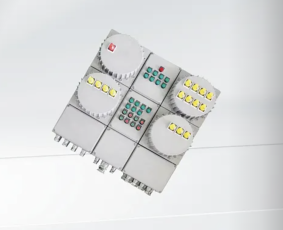 กล่องแจกแจงไฟฟ้าป้องกันระเบิด BX