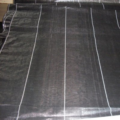 Biodegradable weed barrier