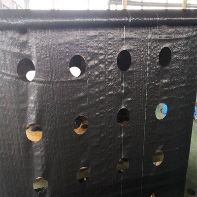 Tissu de plantation pré-perforé